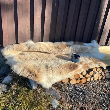 A By The Forest With A Sea View ! Sofstad