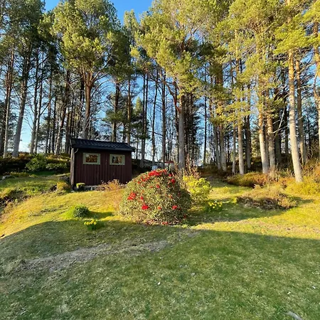 A By The Forest With A Sea View !