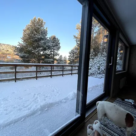 A By The Forest With A Sea View ! Hébergement de vacances