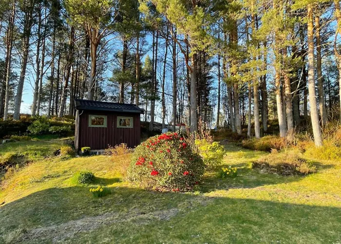 A By The Forest With A Sea View !