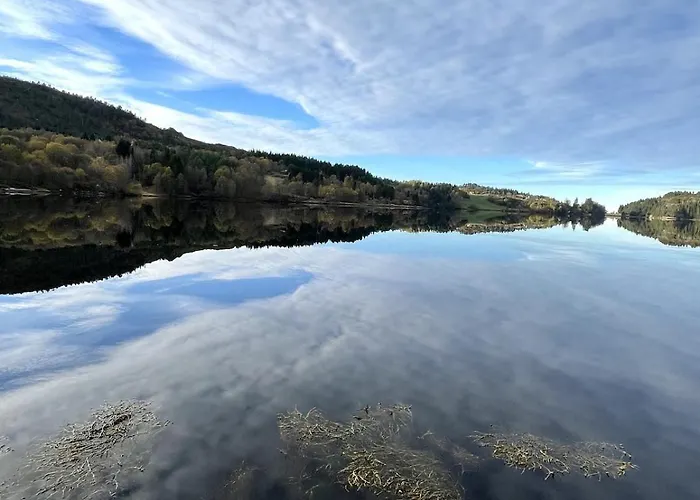 A By The Forest With A Sea View !