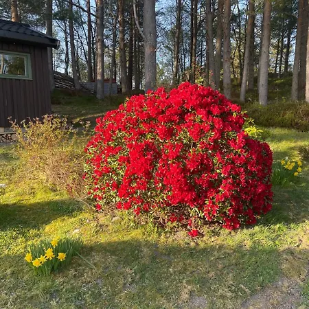 A By The Forest With A Sea View ! Sofstad