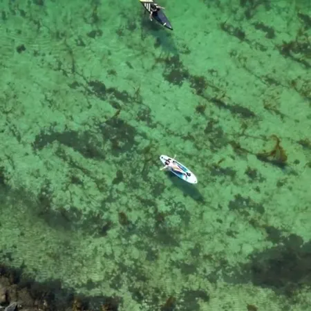 A By The Forest With A Sea View ! Holiday home *