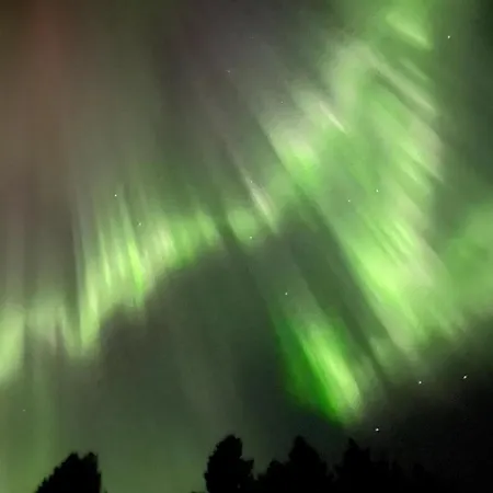 A By The Forest With A Sea View ! Holiday home *