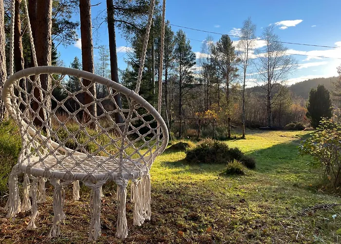 A By The Forest With A Sea View ! * Sofstad