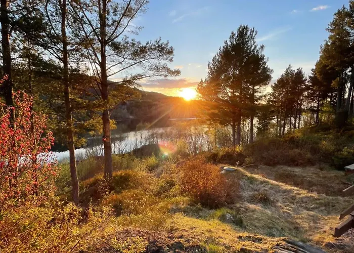 A By The Forest With A Sea View !