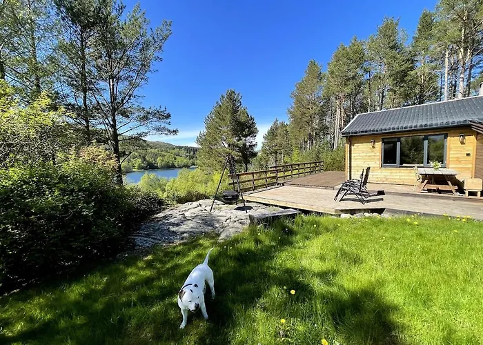 A By The Forest With A Sea View ! Sofstad