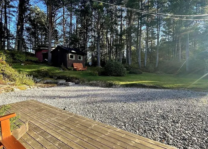 A By The Forest With A Sea View ! * Sofstad